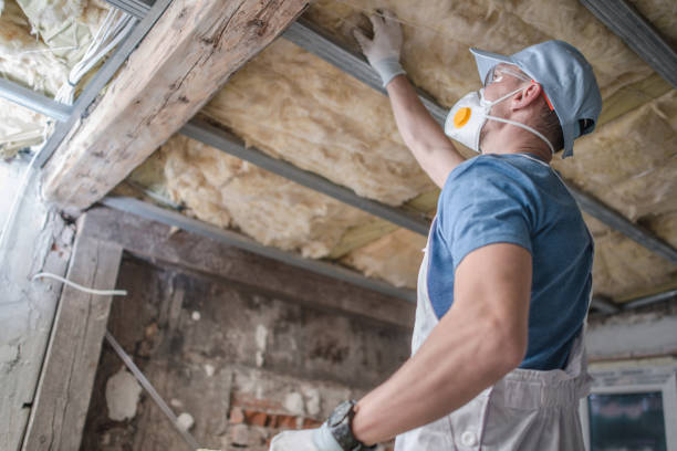 Best Eco-Friendly Insulation in Ten Mile Run, NJ